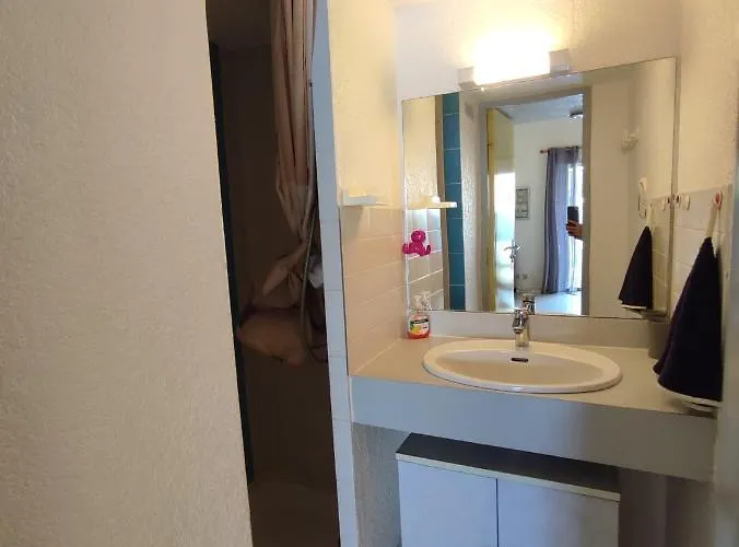 Ondines I Très Joli T2 Mezzanine Climatisé Richelieu Cap D'agde Appartamento Agde